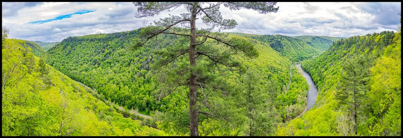 Canyon mid-May