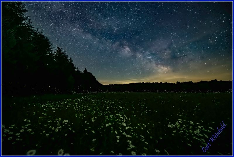 Fireflies compete with the milkyway as daisies watch.
