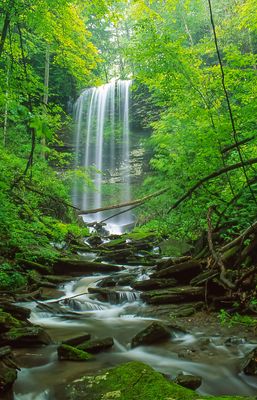 Waterfalls of Pine Creek Valley
