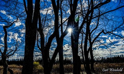 Starry Sun