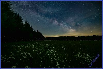 NIGHTSCAPES