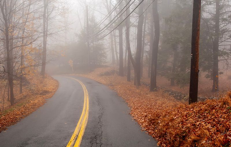 Foggy Morn
