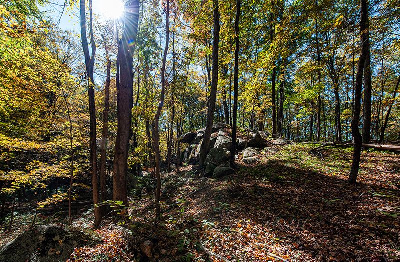 Armstrong Preserve 2