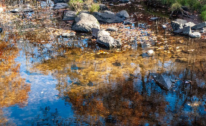 Reflections of Autumn