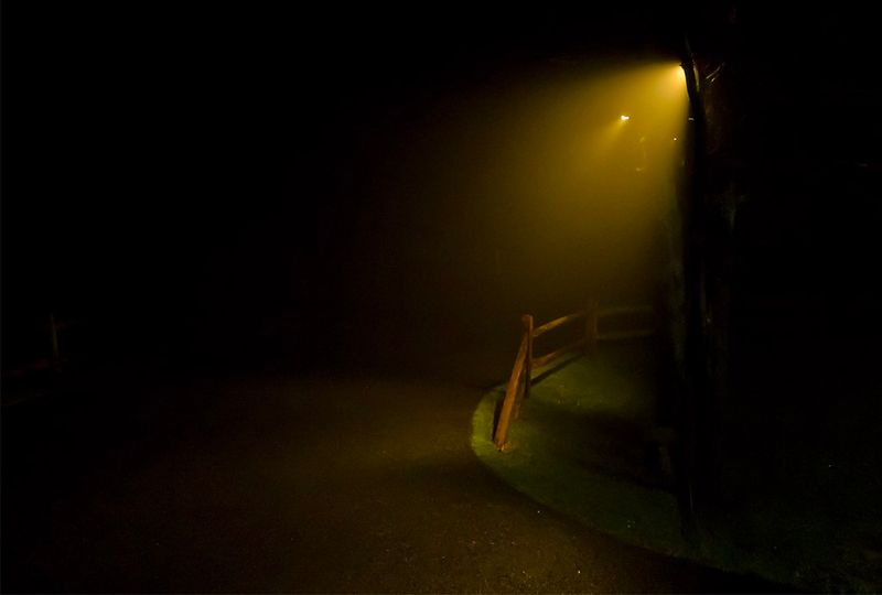 Foggy Drive