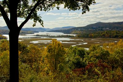 Boscobel