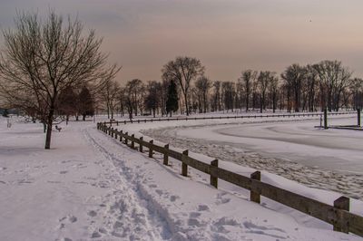 Winter Morn