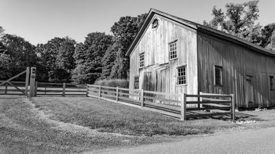 Horse Country