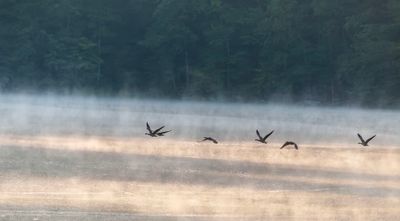 Early Morning Flight