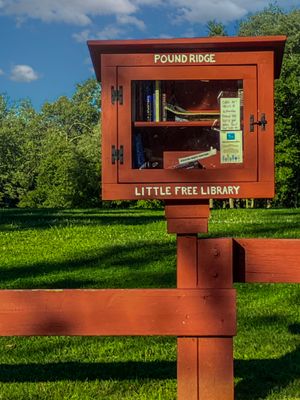 Little Free Library