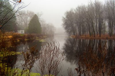 Last Days of Autumn