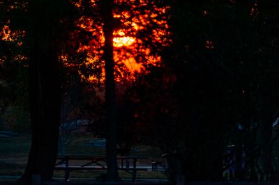 Sunrise at the cove