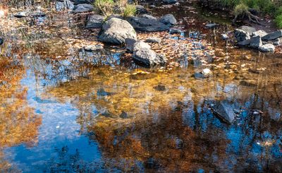 Reflections of Autumn