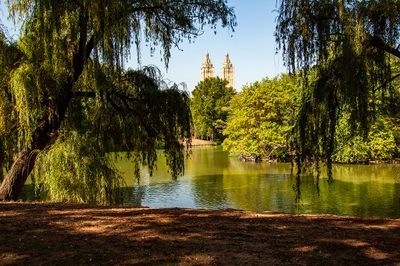 Central Park