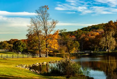 J T Farm In Autumn