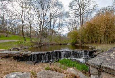 MT. Kisco Garden