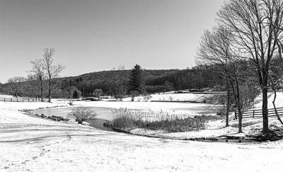 Winter Wonderland