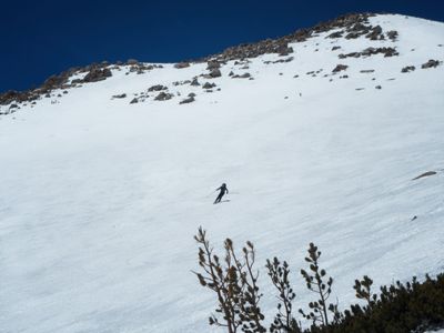 Bill skiing the upper slopes