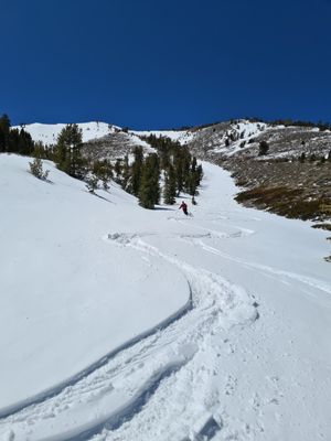 Good skiing in a long gully