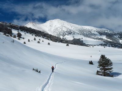Bishop Bowl (Mar 2024)
