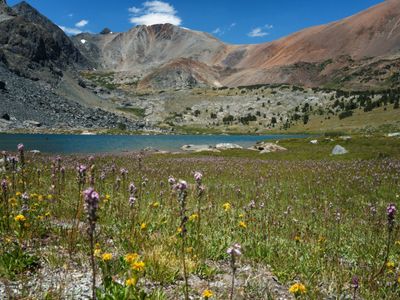 Koip and Kuna Peaks from Alger Lakes
