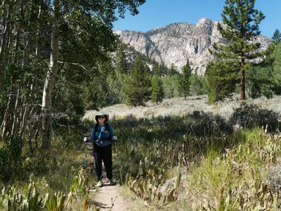 Hiking along Robinson Creek