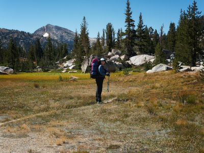 Hiking across Kerrick Meadow