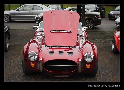 Cobra 1D3