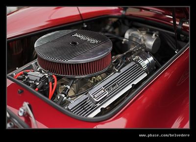Cobra V8 1D3