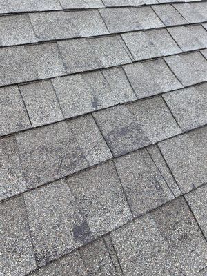 Roof 2.jpg