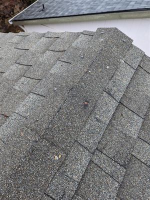Roof 4.jpg