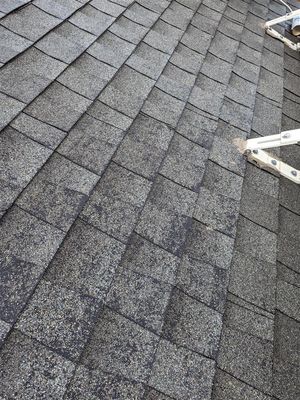 Roof 6.jpg