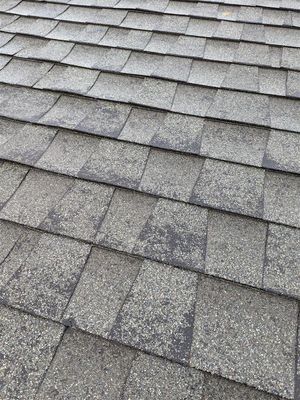 Roof 7.jpg