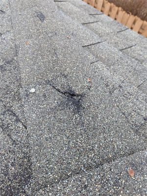 Roof 8.jpg