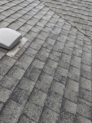 Roof 9.jpg