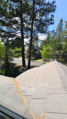 20240526_134935.jpg