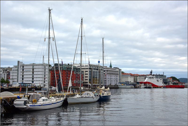 DSC_1708_1.jpg