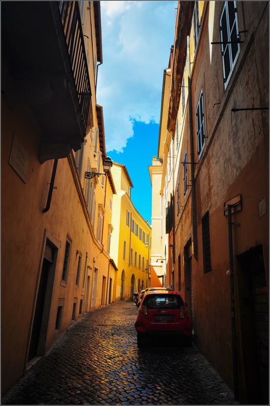 DSC_5506_1.jpg