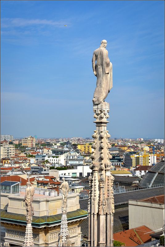 DSC_5272_1.jpg