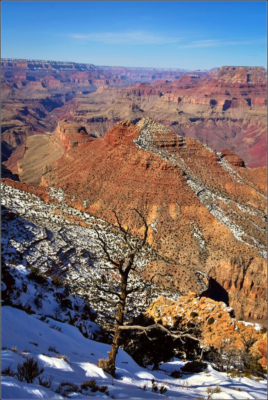 DSC_7034_1.jpg