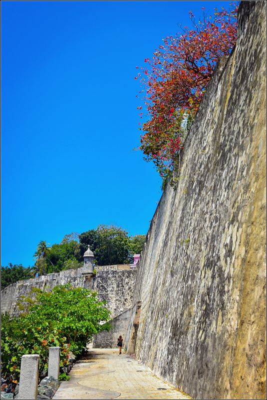 DSC_7788_1.jpg
