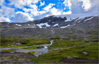 DSC_3337_1.jpg