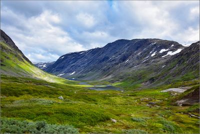 DSC_3378_1.jpg