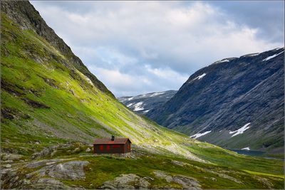 DSC_3379_1.jpg