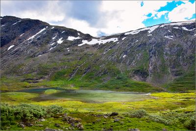 DSC_3390_1.jpg