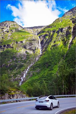 DSC_3443_1.jpg