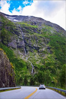 DSC_3446_1.jpg
