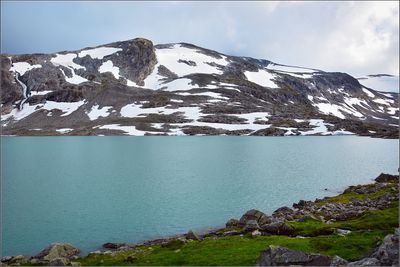 DSC_3551_1.jpg