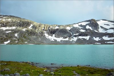 DSC_3556_1.jpg