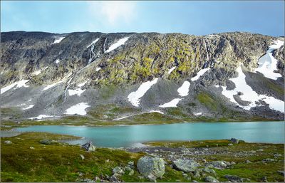 DSC_3568_1.jpg
